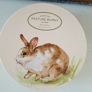 Pasture Bunny Pottery Barn Rabbit Plates Pottery Barn Dining